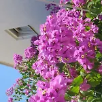 Hvar